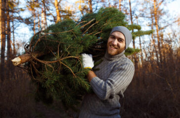 Pestizid Weihnachtsbaum