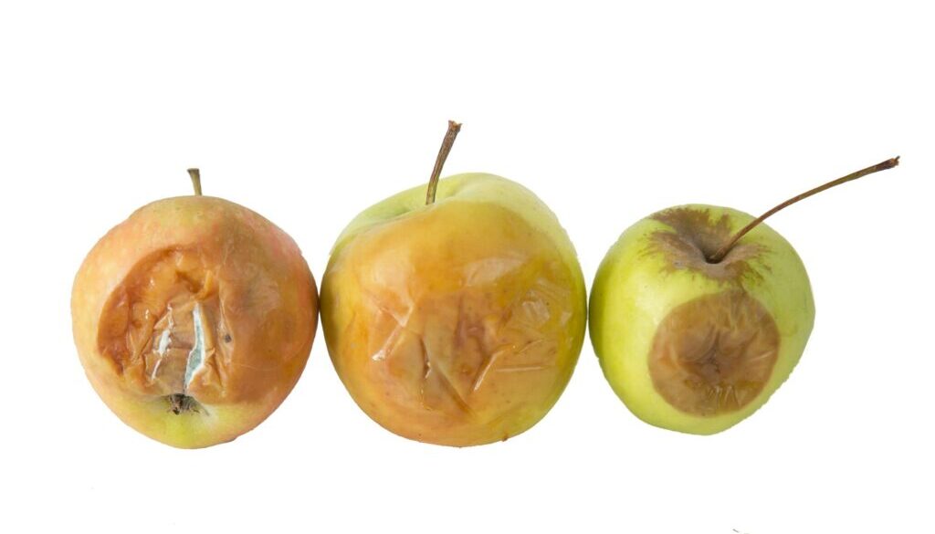 Apfel